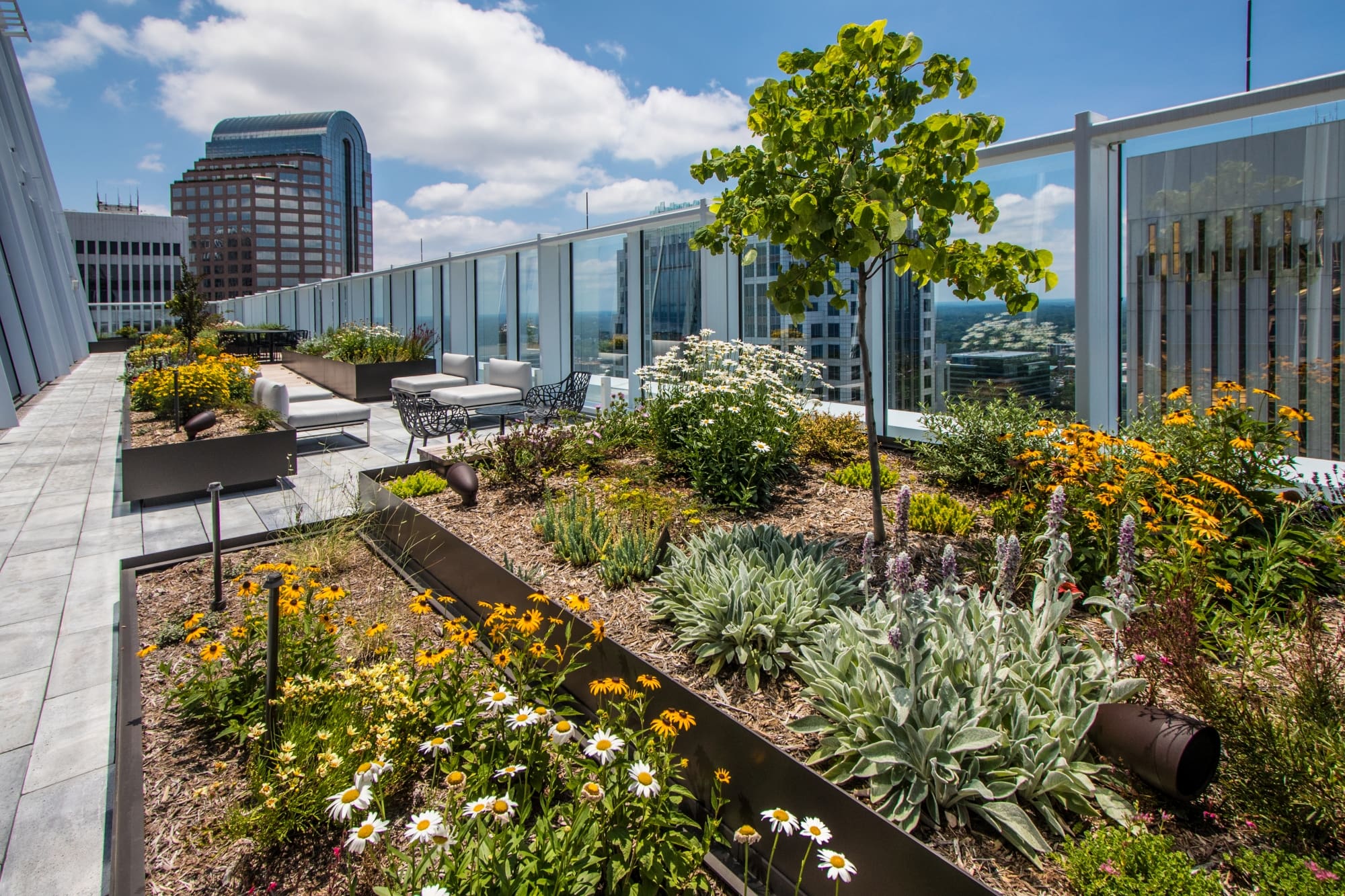 300 S. Tryon Outdoor Terrace Garden | V3 Companies